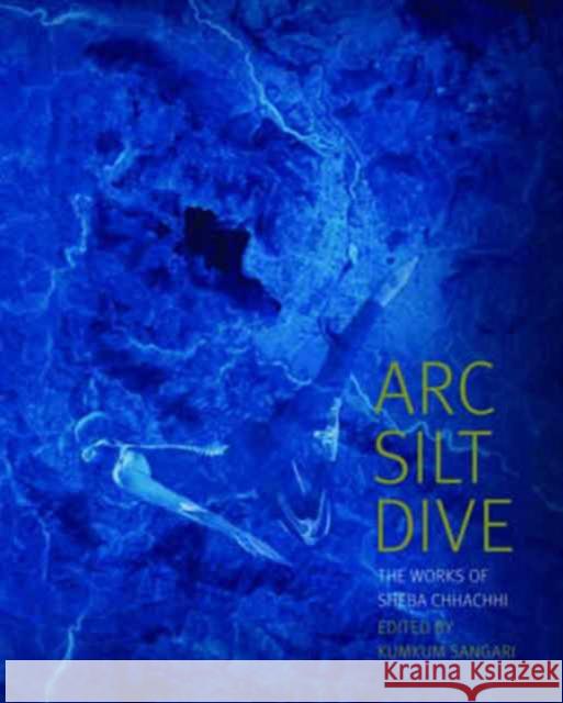 ARC Silt Dive: The Works of Sheba Chhachhi Kumkum Sangari 9789382381761 Tulika Books