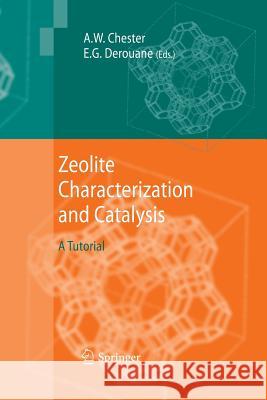 Zeolite Characterization and Catalysis: A Tutorial Chester, Arthur W. 9789400790957 Springer