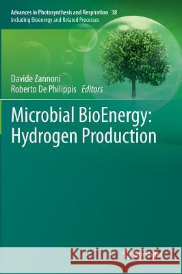 Microbial Bioenergy: Hydrogen Production Zannoni, Davide 9789401785532 Springer