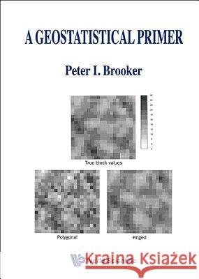 A Geostatistical Primer Peter I. Brooker 9789810205478