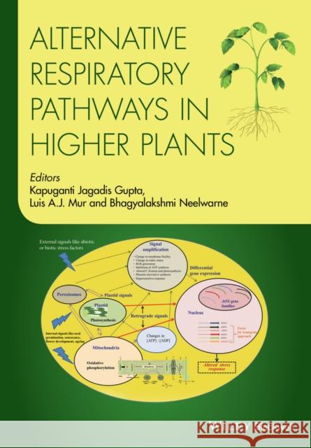 Alternative Respiratory Pathways in Higher Plants
