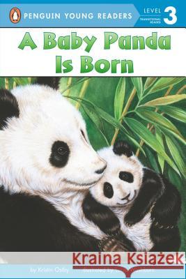 A Baby Panda Is Born Kristin Ostby Lucia Washburn 9780448447209 Grosset & Dunlap - książka