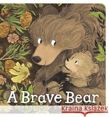 A Brave Bear Sean Taylor Emily Hughes 9781536229639 Candlewick Press (MA) - książka