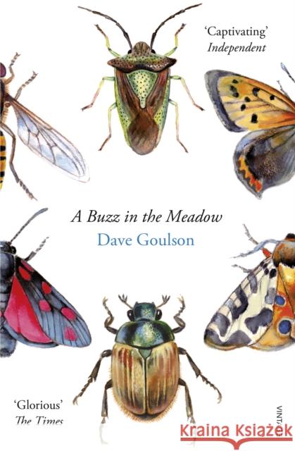 A Buzz in the Meadow Dave Goulson 9780099597698 Vintage Publishing - książka