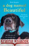 A Dog Named Beautiful: The true story of the Labrador who taught a Marine to love life again Robert Kugler 9780552174770 Transworld Publishers Ltd