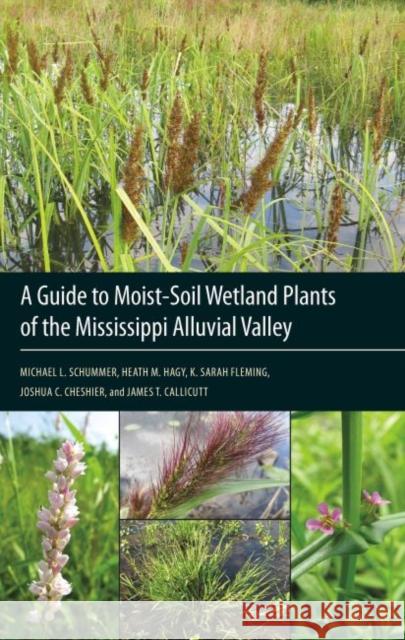A Guide to Moist-Soil Wetland Plants of the Mississippi Alluvial Valley Michael L. Schummer Heath M. Hagy K. Sarah Fleming 9781617031465 University Press of Mississippi - książka