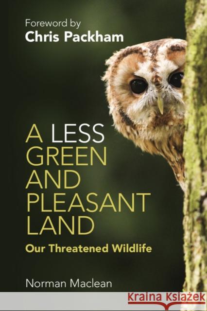 A Less Green and Pleasant Land: Our Threatened Wildlife MacLean, Norman 9781107673236  - książka