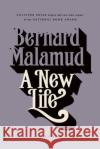 A New Life Bernard Malamud Jonathan Lethem 9780374529499 Farrar Straus Giroux
