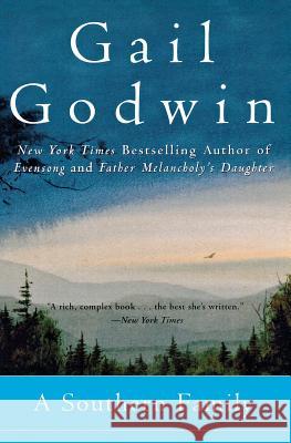 A Southern Family Gail Godwin 9780380729876 Harper Perennial - książka