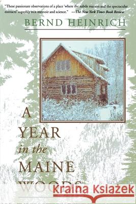 A Year in the Maine Woods Bernd Heinrich 9780201489392 HarperCollins Publishers - książka