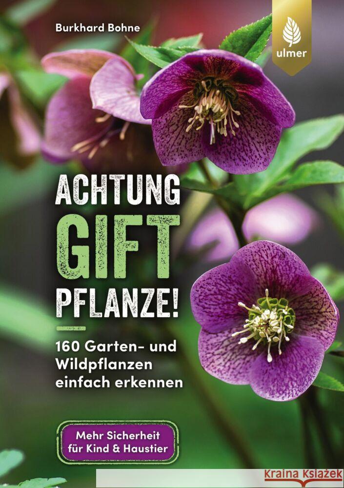 Achtung, Giftpflanze! Bohne, Burkhard 9783818616243 Verlag Eugen Ulmer - książka
