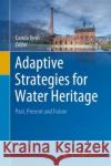 Adaptive Strategies for Water Heritage: Past, Present and Future Hein, Carola 9783030002671 Springer