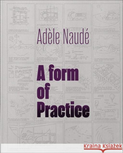 Adele Naude: A Form of Practice Adele Naude 9781957183435 Oro Editions - książka