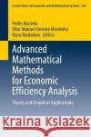 Advanced Mathematical Methods for Economic Efficiency Analysis: Theory and Empirical Applications Pedro Macedo V?tor Manuel Ferreira Moutinho Mara Madaleno 9783031295829 Springer