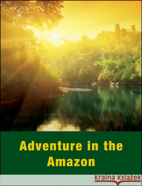 Adventure Amazon Activity Guide Ukens, Lorraine L. 9780787939809 Pfeiffer & Company - książka