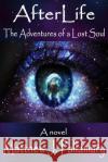 AfterLife: The Adventures of a Lost Soul Pallamary, Matthew J. 9780998680934 Mystic Ink Publishing