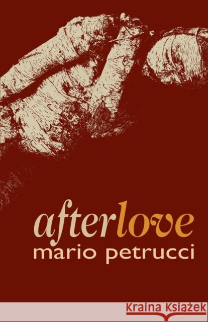 afterlove Mario Petrucci 9781788640954 Cinnamon Press - książka