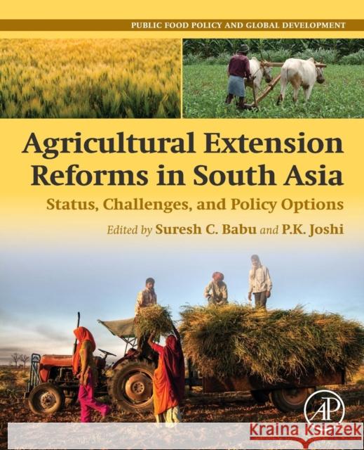 Agricultural Extension Reforms in South Asia: Status, Challenges, and Policy Options Suresh Chandra Babu P. K. Joshi 9780128187524 Academic Press - książka