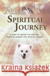 Ally's Spiritual Journey: A Story of Beating the Odds and Surviving Surgery with Spiritual Healing Mary Carol Ross 9780999877302 In the Light Press