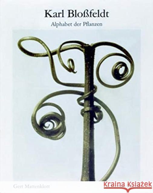 Alphabet der Pflanzen Bloßfeldt, Karl 9783829609128 Schirmer/Mosel - książka