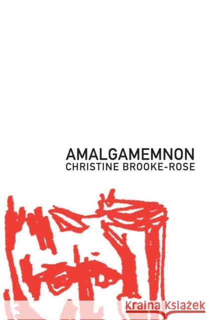 Amalgamemnon Christine Brooke-Rose 9781564780508 Dalkey Archive Press - książka