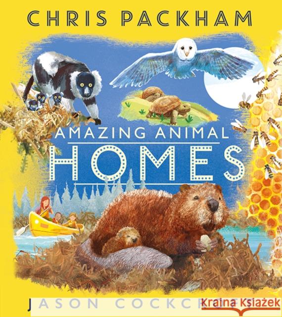 Amazing Animal Homes Packham, Chris 9781405284899 HarperCollins Publishers - książka