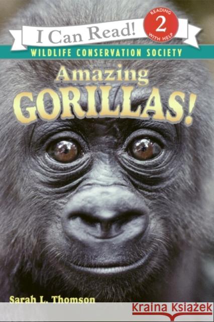 Amazing Gorillas! Sarah L. Thomson Wildlife Conservation Society 9780060544614 HarperTrophy - książka