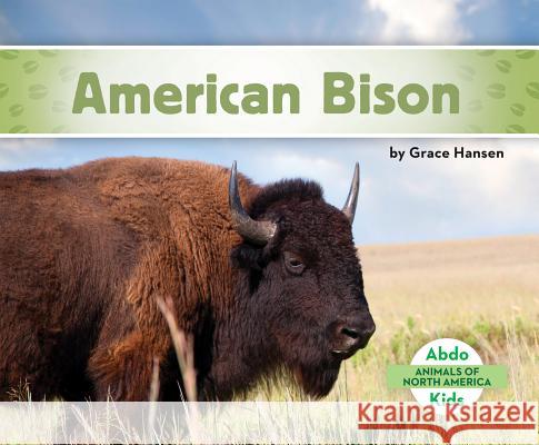 American Bison Grace Hansen 9781680801071 Abdo Kids - książka