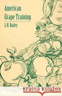 American Grape Training - An Account of the Leading Forms Now in Use of Training the American Grapes L. H. Bailey 9781409778639 Orchard Press - książka