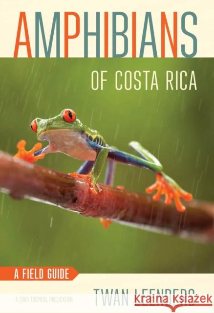 Amphibians of Costa Rica: A Field Guide Twan Leenders 9781501700620 Comstock Publishing - książka