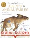 An Anthology Of Aesop's Animal Fables Helen Ward 9781800786202 Templar Publishing