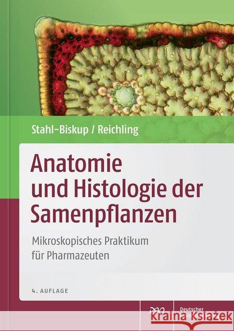 Anatomie und Histologie der Samenpflanzen : Mikroskopisches Praktikum für Pharmazeuten Stahl-Biskup, Elisabeth; Reichling, Jürgen 9783769261189 Deutscher Apotheker Verlag - książka