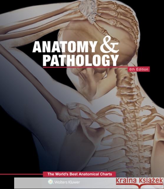 Anatomy & Pathology: The World's Best Anatomical Charts Book Anatomical Chart Company   9781469889900 Lippincott Williams and Wilkins - książka