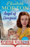 Angel of Liverpool Elizabeth Morton 9781529060232 Pan Macmillan