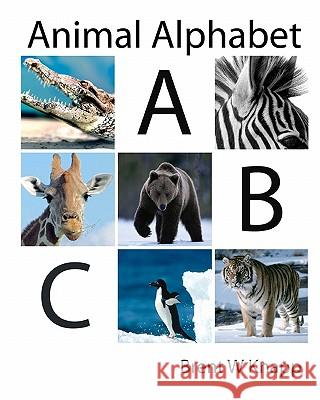 Animal Alphabet: From Alligator to Zebra Brent W. Knapp 9781451566536 Createspace - książka
