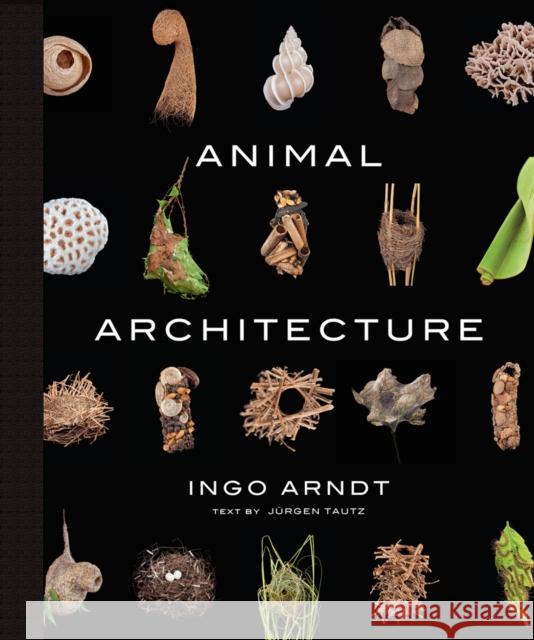 Animal Architecture Ingo Arndt Jurgen Tautz Jim Brandenburg 9781419711657 Abrams - książka
