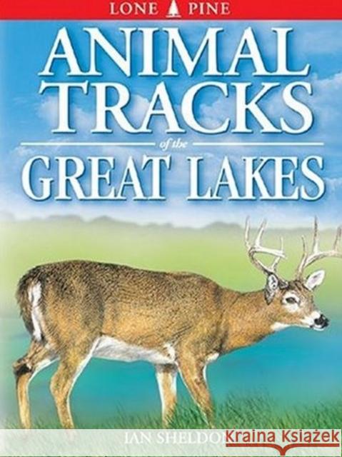 Animal Tracks of the Great Lakes Ian Sheldon, Gary Ross, Horst Krause 9781551051079 Lone Pine Publishing,Canada - książka
