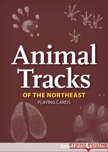 Animal Tracks of the Northeast Playing Cards Jonathan Poppele 9781647553883 Adventure Publications, Incorporated - książka
