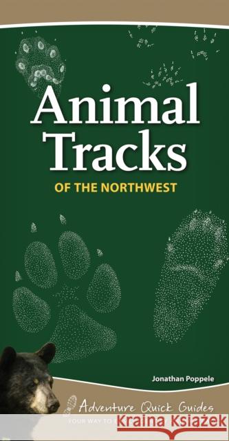 Animal Tracks of the Northwest: Your Way to Easily Identify Animal Tracks Poppele, Jonathan 9781591936961 Adventure Publications - książka