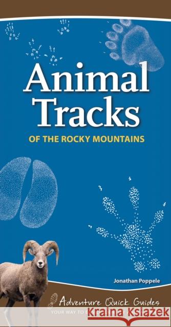 Animal Tracks of the Rocky Mountains: Your Way to Easily Identify Animal Tracks Poppele, Jonathan 9781591936985 Adventure Publications - książka