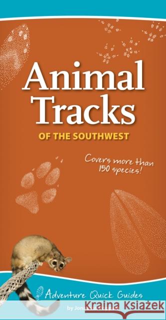 Animal Tracks of the Southwest: Your Way to Easily Identify Animal Tracks Poppele, Jonathan 9781591935872 Adventure Publications(MN) - książka