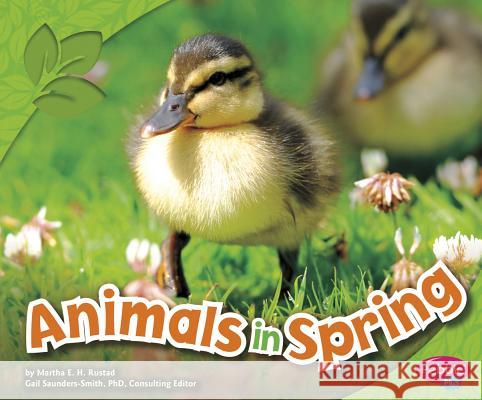Animals in Spring Martha E. H. Rustad 9781429693585 Capstone Press - książka