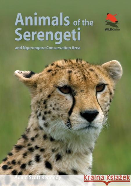 Animals of the Serengeti: And Ngorongoro Conservation Area Kennedy, Adam Scott 9780691159089 Princeton University Press - książka