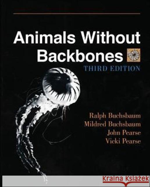 Animals Without Backbones: An Introduction to the Invertebrates Buchsbaum, Ralph 9780226078748 University of Chicago Press - książka