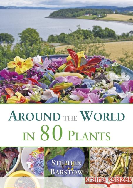 Around the world in 80 plants: An edible perrenial vegetable adventure for temperate climates Stephen Barstow 9781856231411 Permanent Publications - książka