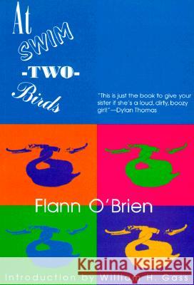 At Swim-Two-Birds Flann O'Brien William H. Gass 9781564781819 Dalkey Archive Press - książka