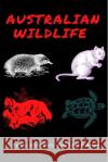 Australian Wildlife Mentone Girls' Year 3 Students 9781034042648 Blurb