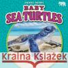 Baby Sea Turtles Jenna Grodzicki 9781636913582 Bearcub Books