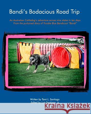 Bandi's Bodacious Road Trip: An Australian Cattledog's adventure across nine states in ten days Bandicoot, Trouble Blue 9781364716592 Blurb - książka
