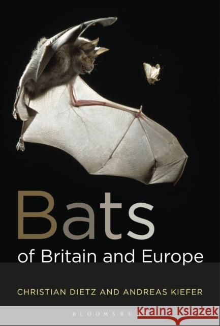 Bats of Britain and Europe Christian Dietz Andreas Kiefer 9781472963185 Bloomsbury Wildlife - książka